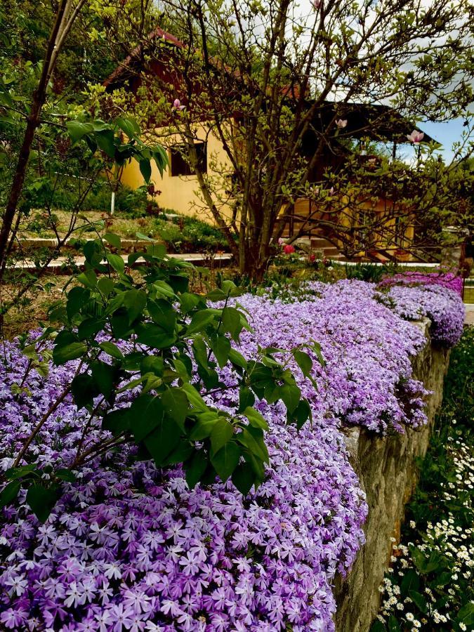 House In The Woods Bed and Breakfast Resita Exteriör bild